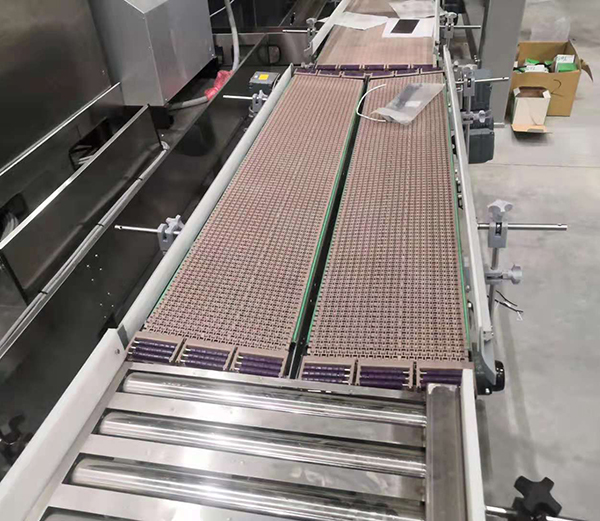 1629020767526967.jpg 網(wǎng)帶鏈輸送線-(3).jpg